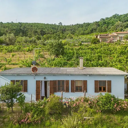 Margherita By Interhome Holiday home